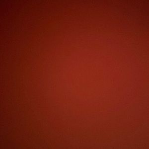 Meet your Posher, Pom pom